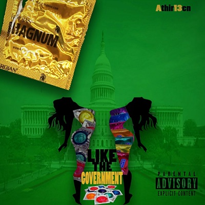 Like the Government - Single