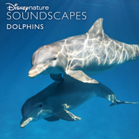 Disneynature Soundscapes - Disneynature Soundscapes: Dolphins artwork