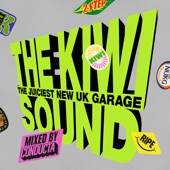 The Kiwi Sound (DJ Mix) artwork