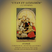 Uyan Ey Gözlerim song art