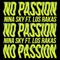 No Passion (feat. Los Rakas) - Nina Sky lyrics