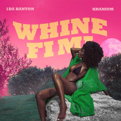 Whine Fi Mi - Single