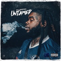 Untamed - Single - Milli Montana