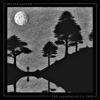Beluga Lagoon - The Glen artwork