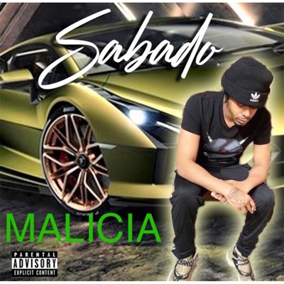 Malicia (feat. DJ Ruzh) - Single