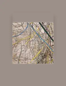 收听 Roostep、观看音乐视频、阅读小传、查看巡演日期等 ！