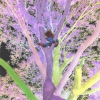 Bored - Single - chi