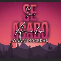 Se acabo (4bra Remix) - Single - Ayaari Nocedal