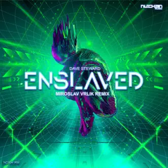 Enslaved (Miroslav Vrlik Remix) - Single by Dave Steward album reviews, ratings, credits