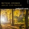 Analog Field Machine - Matthias Springer lyrics