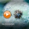 Numaaish - Ragasur lyrics