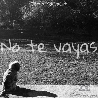 No Te Vayas (feat. PlayDaCut) - Single