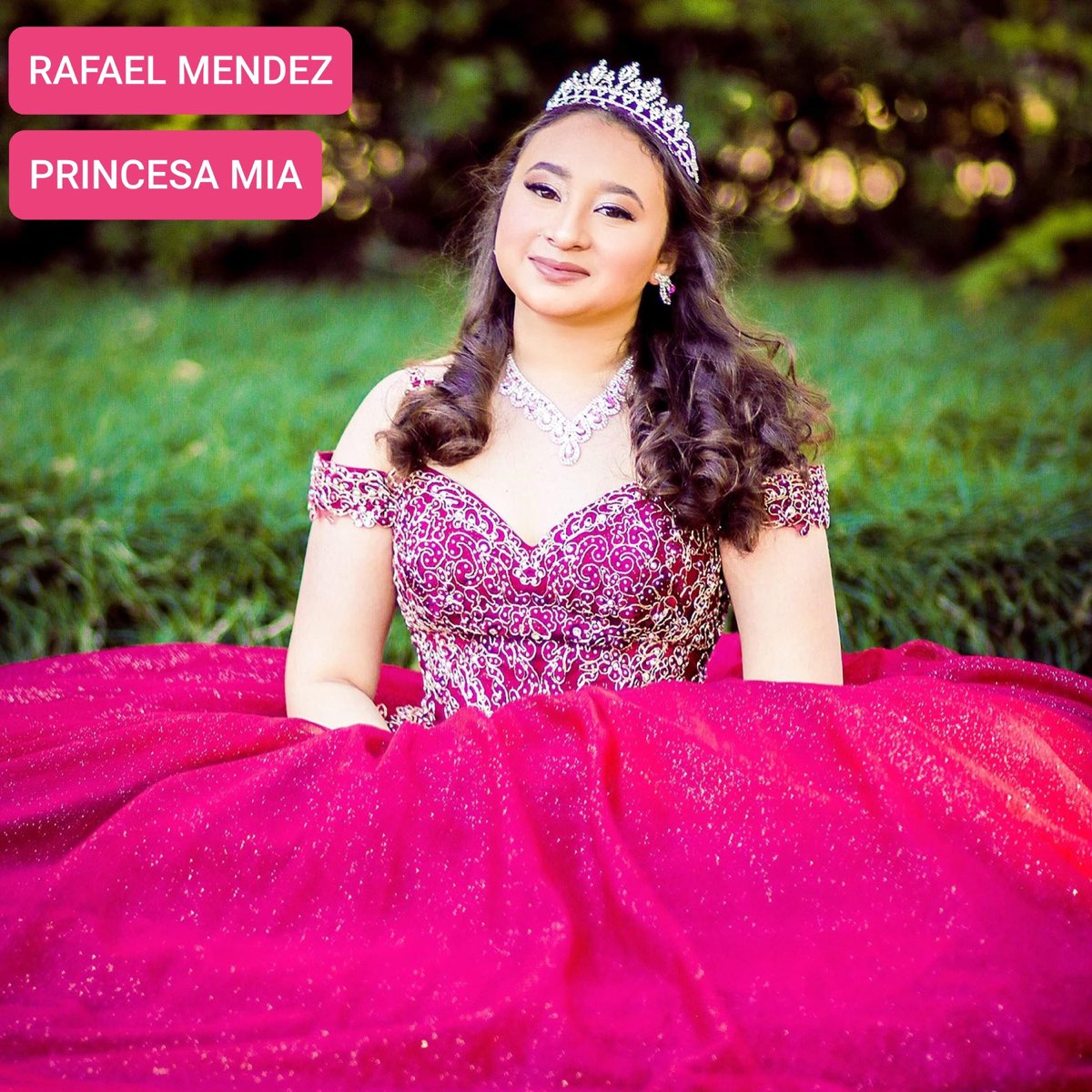 Princesa Mia - Single by Rafael Mendez on Apple Music