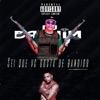 Sei Que Você Gosta de Bandido (feat. MC DN) - Single