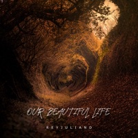 Our Beautiful Life - Single - Reyjuliand