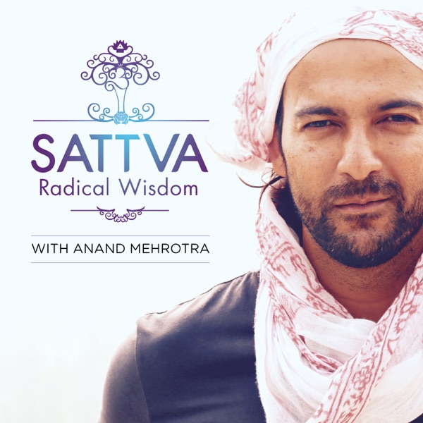 Sattva Radical Wisdom with Anand Mehrotra