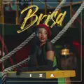 BRISA