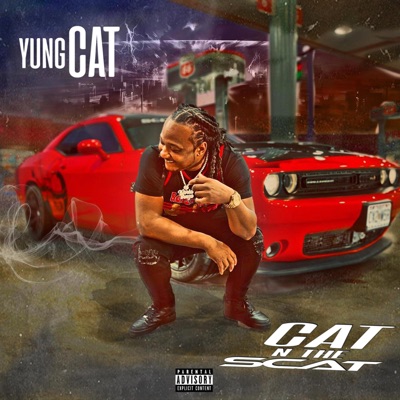 Cat N the Scat