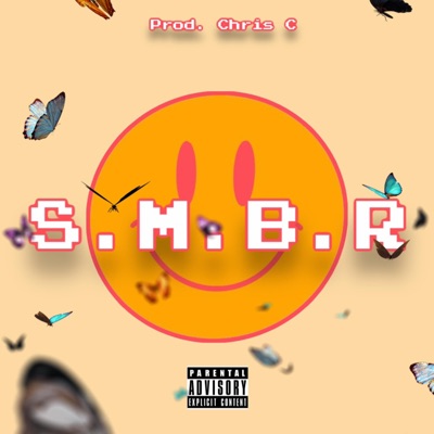 S.M.B.R - Single