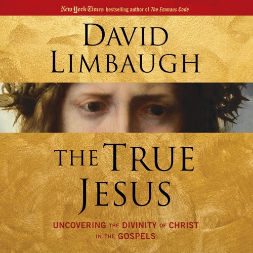 The True Jesus: Uncovering the Divinity of Christ in the Gospels (Unabridged) cover