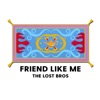Friend Like Me