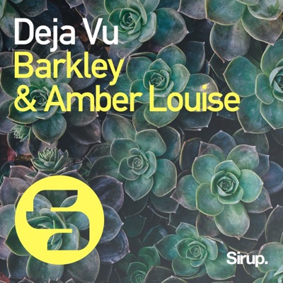 Deja Vu - Single