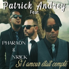 Si l'amour était compté (feat. Pharaon & N'rick) Patrick Andrey