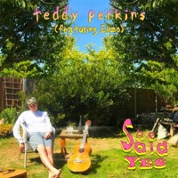 She Said Yes (feat. Ellzo) - Single - Teddy Perkins