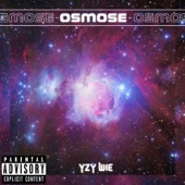 OSMOSE artwork