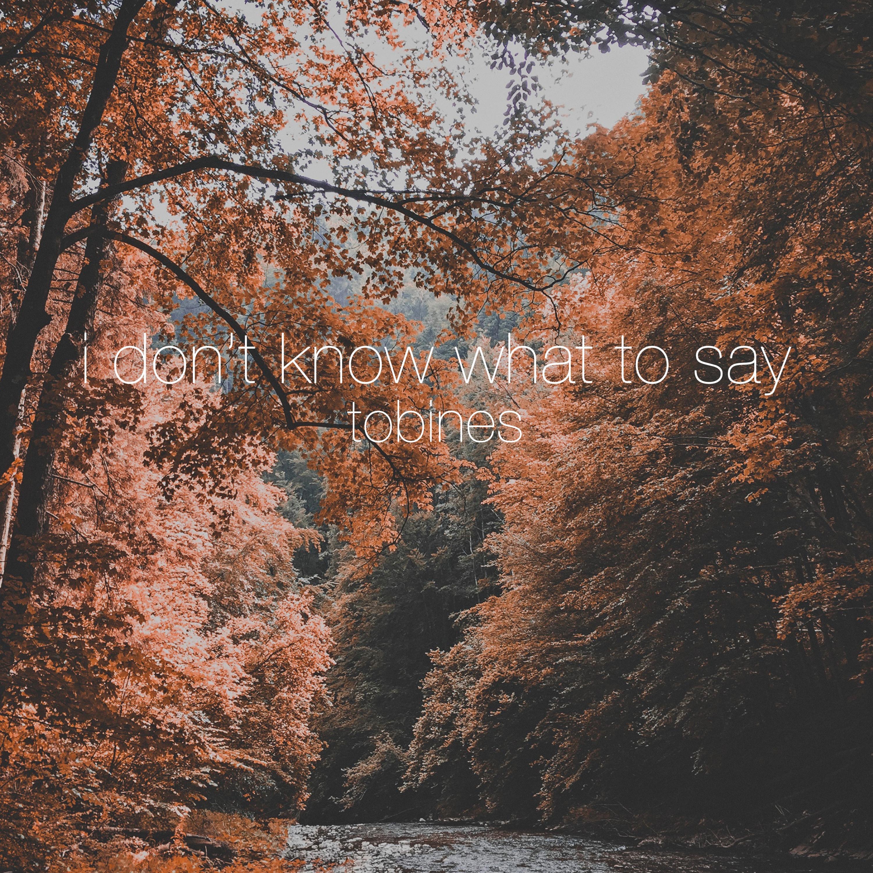 I Don't Know What to Say - Single