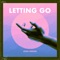 Letting Go - Josh Dreon lyrics