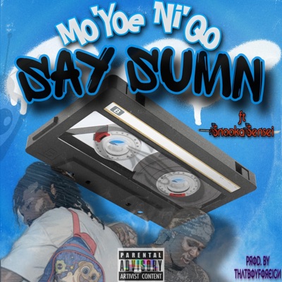 Say Sumn (feat. Snooka Sensei) - Single