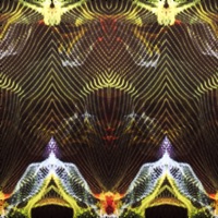 Elephant / Assertion - Single - LEHNBERG