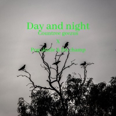 Day and Night (feat. Pop Dizzle & Da Champ) - Single