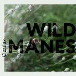 Wild Manes - Cicadas