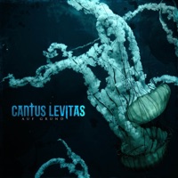 Cantus Levitas - Sieben Meere