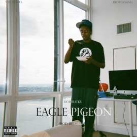 Eagle Pigeon MorBucks
