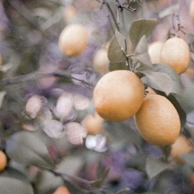 Life Is Good - Single