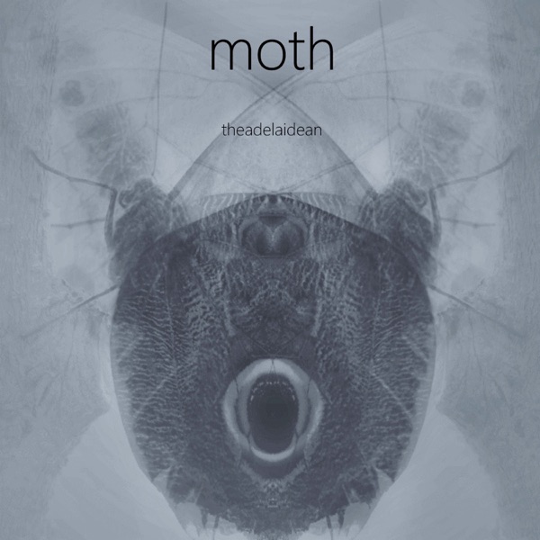 Moth