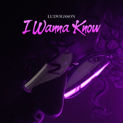 I Wanna Know - Single