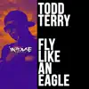 FLY LIKE AN EAGLE