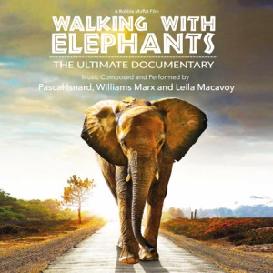 Elephants Memories