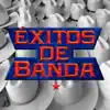 Banda Lagunera - El hijo desobediente
