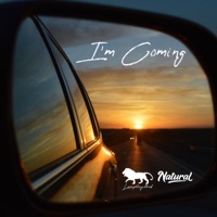 I'm Coming (feat. Natural) - Single - Leezythegifted