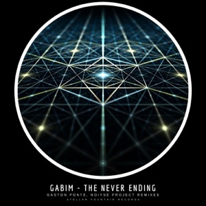 The Never Ending - Single