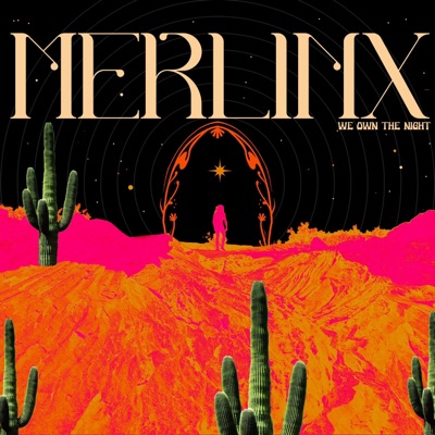 We Own the Night (feat. Tevão) [Radio Edit] - Single