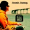 Cosmic Journey - Dj Dancer lyrics
