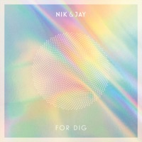 For Dig - Single - Nik & Jay - Music - China Hottest Music