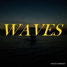 Waves (feat. Lil Lassi & Froggy Flow$) Guilt Complex