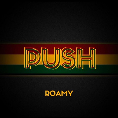 Push - Single